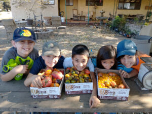 Kids with boxes of tomatoes