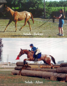 Selah before and after