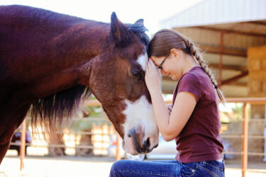 Kid petting a horse