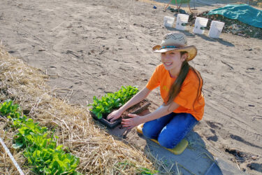 Young girl planting