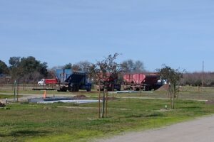 IMG_20220121_125617850