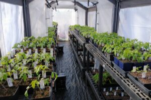 IMG_20220223_134210153