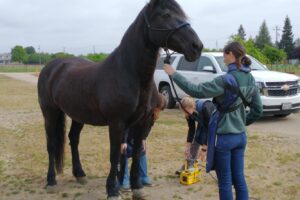 IMG_20220331_093505848